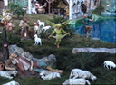 Presepe_283429.JPEG